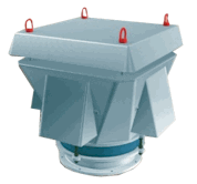 ������������� ������������